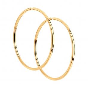 Серьги из золочёного серебра Diamant 93-124-01395-1 фото