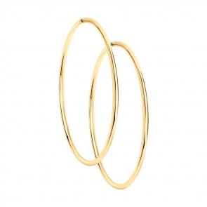 Серьги из золочёного серебра Diamant 93-124-01397-1 фото