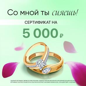 Электронный подарочный сертификат 	Novikov (5000р) ЭПСН5000 фото