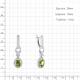 Серебряные серьги AQUAMARINE с фианитом и хризолитом